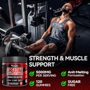 creatine-monohydrate-gummies-for-men-wom-2.jpg