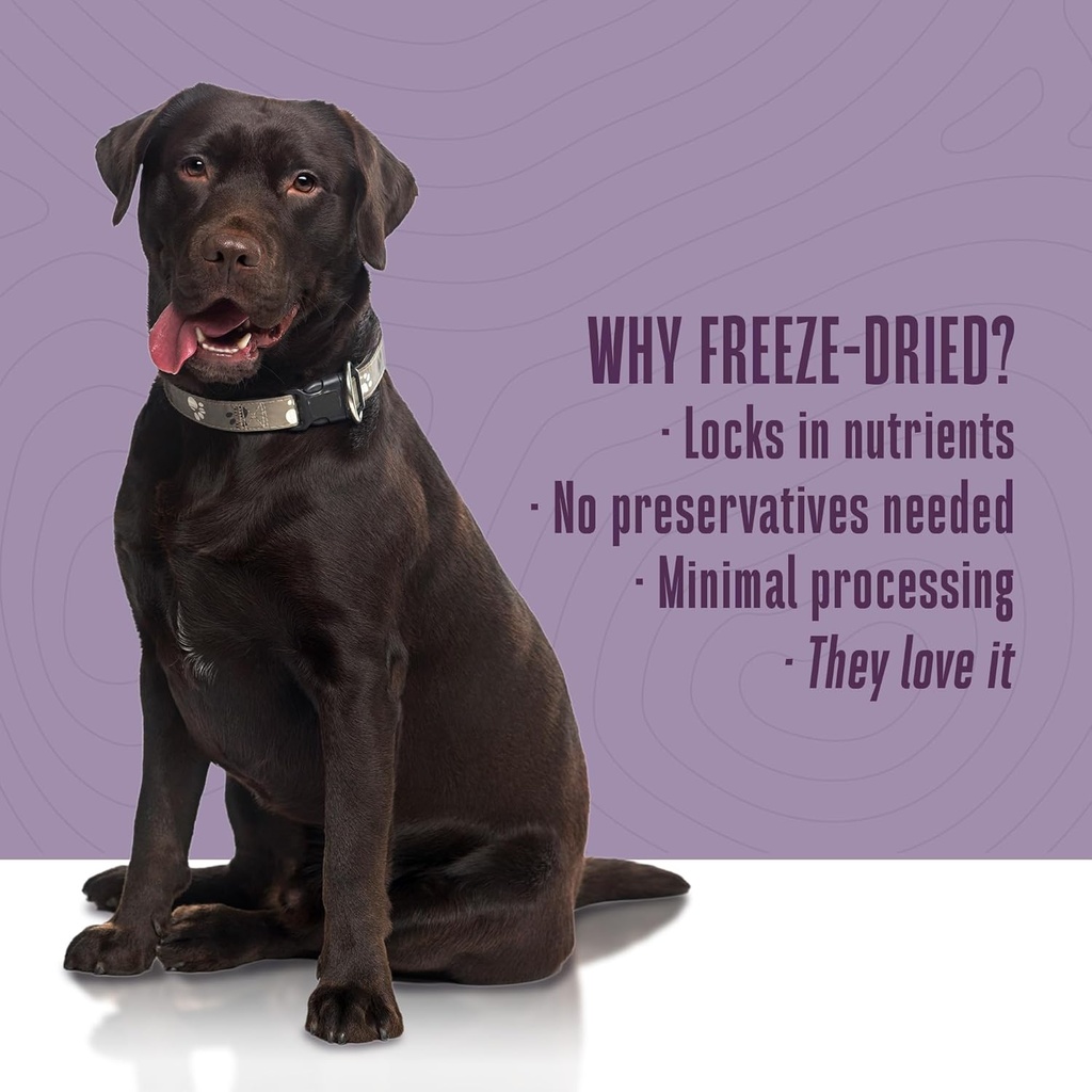whole-life-dog-healthy-gut-daily-dog-sup-5.jpg
