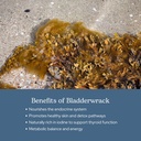 eclectic-herb---premium-freeze-dried-bla-4.jpg