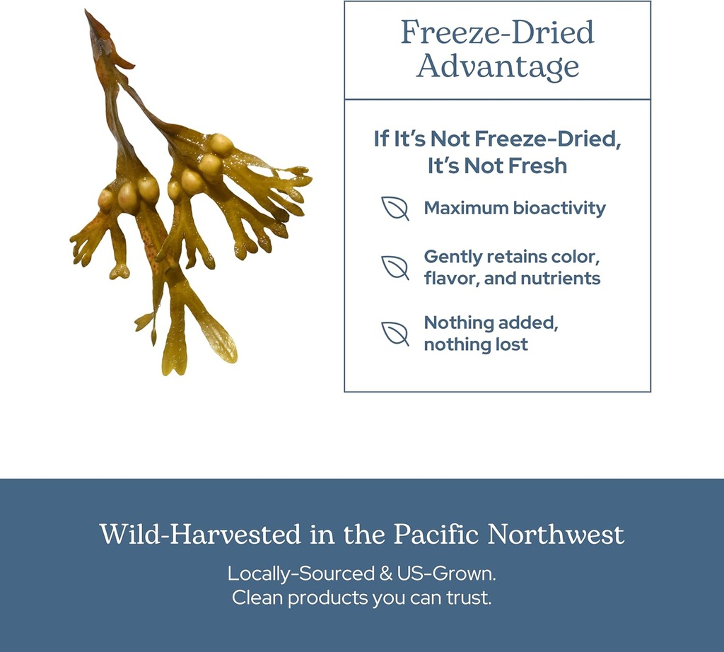 eclectic-herb---premium-freeze-dried-bla-5.jpg