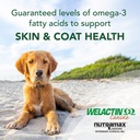 nutramax-welactin-omega-3-fish-oil-skin--3.jpg