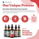 ancient-pet-liver---advanced-liver-suppo-3.jpg