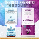 afa-stem-cell-supplements-500mg-berry-co-3.jpg