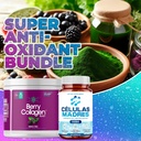 afa-stem-cell-supplements-500mg-berry-co-6.jpg