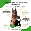 pet-wellbeing-detox-gold-for-dogs-cats---2.jpg
