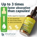 st-johns-wort-herb-tincture-st-johns-wor-5.jpg