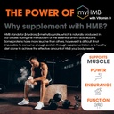 the-genius-brand-genius-muscle---muscle--5.jpg