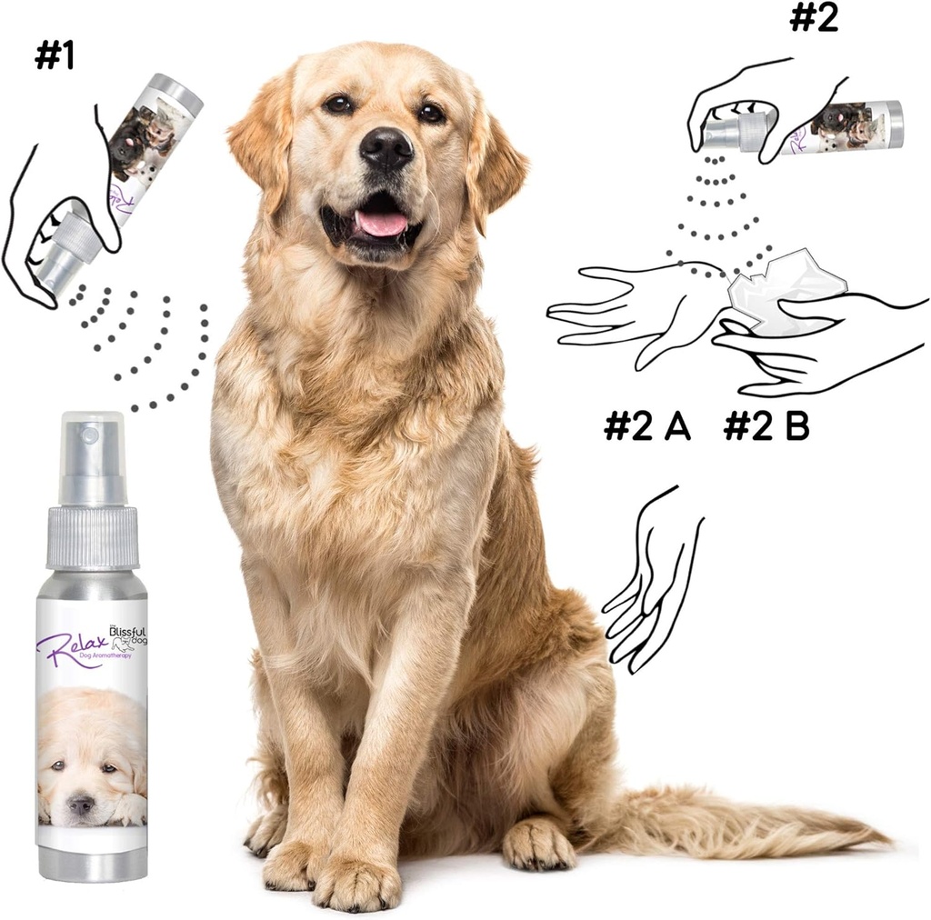 the-blissful-dog-golden-retriever-relax--4.jpg