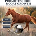 equerrys-combined-rx-4-way-equine-nutrit-3.jpg