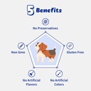 respiratory-guardian-for-dogs---supports-6.jpg