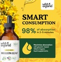 wild-organic-mullein-drops-4-oz-immune-s-4.jpg