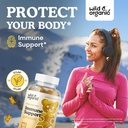 wild-organic-mullein-drops-4-oz-immune-s-6.jpg