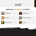 alphabites-gummies---original-formula-al-3.jpg