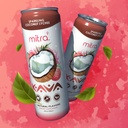mitra-9-botanical-beverages---coconut-ly-4.jpg