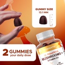 Vitamatic Mushroom Complex with D3, 60 Pectin Based Gummies, (Pack of 2) 4