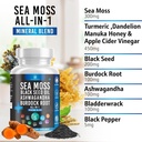 Silicon Sea Moss Black Seed Oil Ashwagandha Bladderwrack Burdock - 180 Count 4