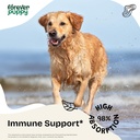 Forever Puppy Red Reishi Mushroom Tincture for Dogs - Immune Support Supplement - Mushroom Drops w/Reishi Extract - Liquid Vitamins and Supplements - All Breeds & Sizes - Sugar & Alcohol-Free - 4 oz 3