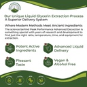 USDA Organic Sea Moss Liquid Drops Supplement. Vegan Irish Sea Moss Extract for Women and Men. Zero Sugar, Non Bitter. for Immune, Digestive, Respiratory Support. USDA Certified Organic 5