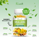 Mullein Gummies, Mullein Leaf Extract with Bromelain, Quercetin, Pine Bark Support Lung Cleanse for Healthy Breathing, 60ct 3