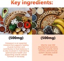 invita-potassium-magnesium-complex-1000--3.jpg