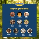 simple-promise---cholibrium---mushroom-s-6.jpg