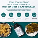 HAPPY FOX Brain & Body Convenience Capsules Bundle - Organic Sea Moss Gel & Smart Shrooms Capsules - Irish Sea Moss & Mushroom Complex, Nootropic Brain Supplements for Memory & Focus 4