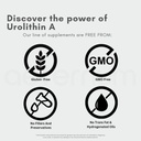 aeternum Urolithin A UA 30g Powder 3
