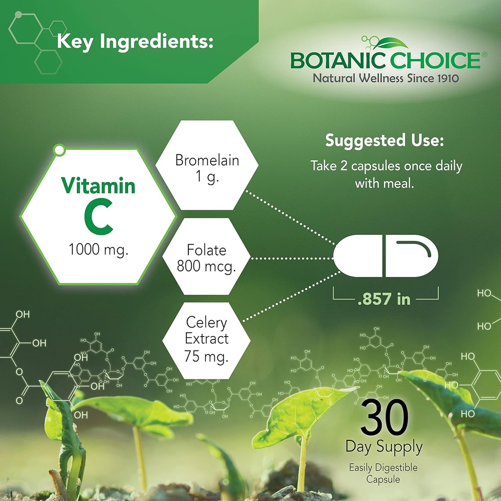 Botanic Choice Uric Acid Complex Foot Joint Support Supplement – Help Sooth Discomfort with Celery Seed and Bromelain - 2 Pack 4