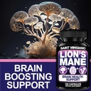 Lion's Mane Mushroom Supplement | 120 Capsules: Alpha Brain Enhancement of Cognitive Clarity, Focus with Our Specialty Blend 4 Mushroom Mycelium Formula 3