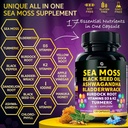 Sea Moss Capsules – 17-in-1 Blend with Black Seed Oil Ashwagandha Bladderwrack Burdock Root Turmeric Vitamin D3 K2 C for Daily Wellness – Multimineral Supplement for Men & Women – 240 Count 3