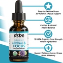 Adrenal Support & Mushroom Liquid Drops - Organic Adrenal and Focus Supplement, Cortisol Support - Mushroom Complex Lion's Mane Mushrooms, Reishi Turkey Tail Extract Shiitake Agaricus Maitake 3