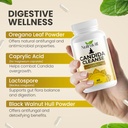 candida-cleanse-60-capsules-advanced-int-3.jpg