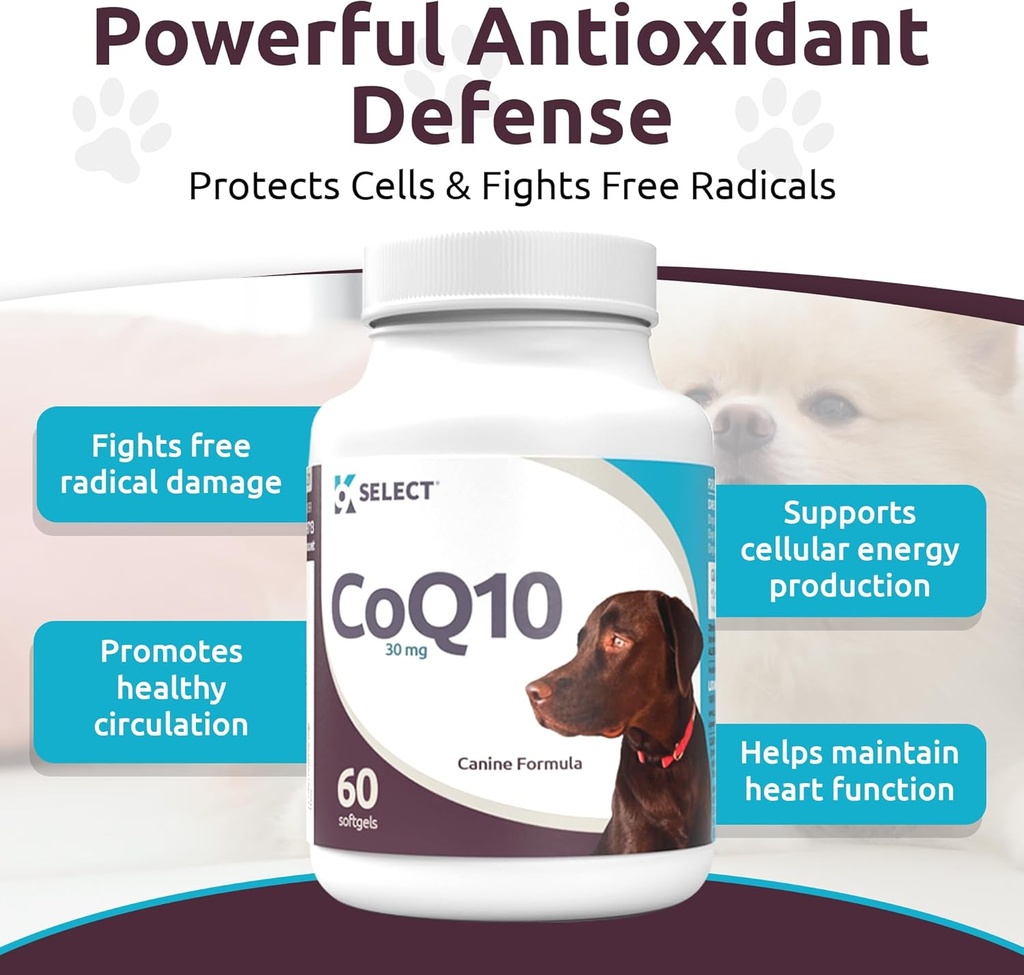 K9 Select CoQ10 Supplement for Dogs, 30mg - 60 Soft Gels per Bottle - Pet Supplement, Nutritional Softgels for Canine Heart Health, Cardiovascular & Gum Health, Energy 6
