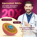 NAD Supplement, Liposomal NAD+ Supplement with Resveratrol, NAD Resveratrol Supplement - Boost NAD+ for Aging Defense, Energy, Focus - Ultra Antioxidant Capsules，132 4