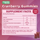 Cranberry Gummies for Urinary Tract Health 3