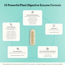 Natural Wellness Digestive Enzymes – Comprehensive Enzyme Blend for Healthy Digestion, Nutrient Absorption & Relief from Gas, Bloating & Indigestion – 60 Vegetarian Capsules 5