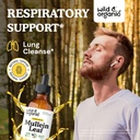 Wild & Organic Mullein Tincture 4 fl oz & Mullein Gummies 60 Count 3