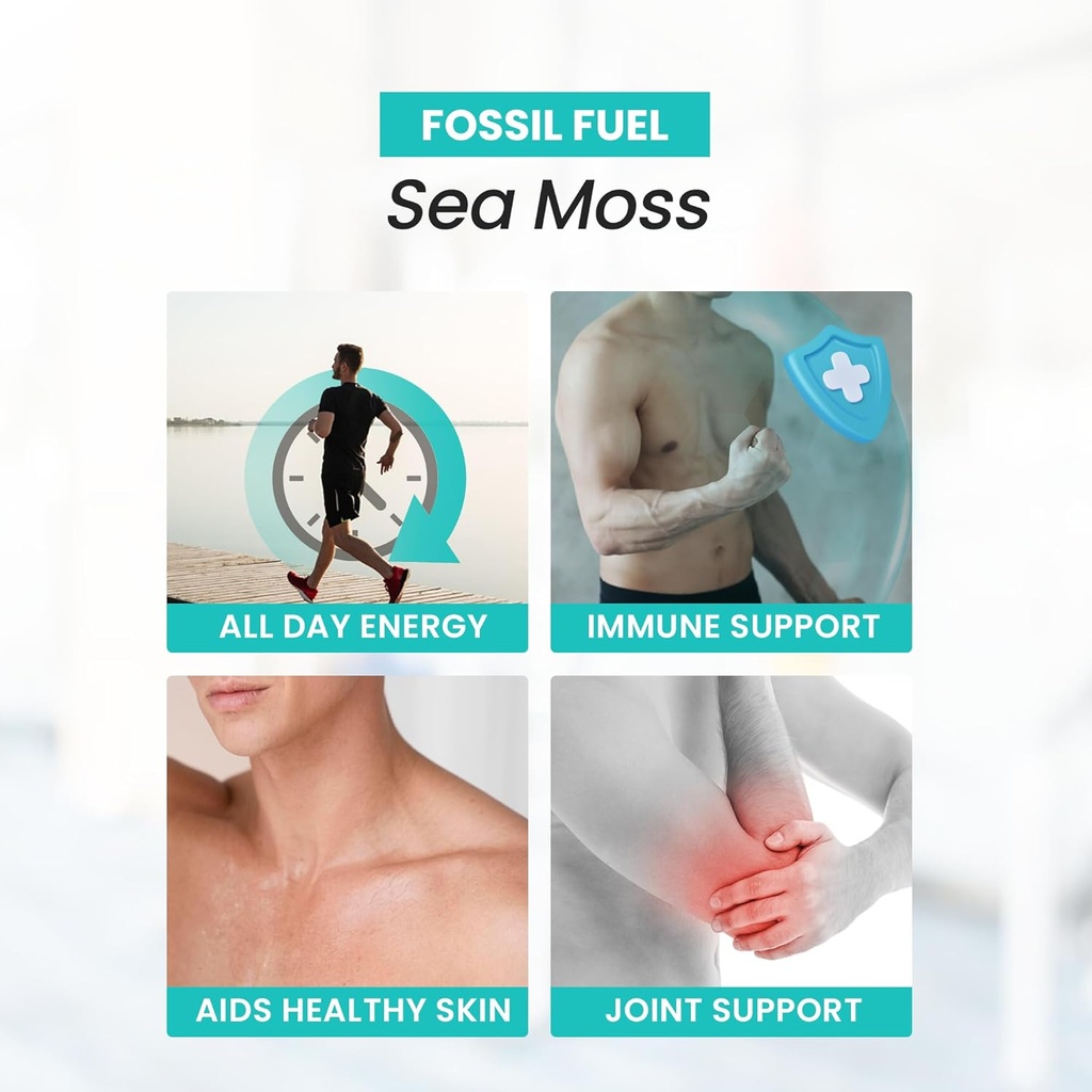 Fossil Fuel- Organic Superfood for Energy, Digestive Health, Immune Support, and Inflammation Relief - Packed with Essential Nutrients and Minerals, Sea Moss (60 Capsules) 3