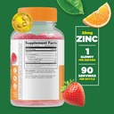 Lifeable Zinc 25mg Kids + Probiotics 5 Billion Kids, Gummies Bundle - Great Tasting, Vitamin Supplement, Gluten Free, GMO Free, Chewable Gummy 3