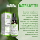 Benevolent Chlorophyll Liquid Drops & Women's Multivitamin - 100% Natural + 4X Potency Concentration for Healthy Skin & Internal Deodorant - Daily Vitamins for Women with Biotin, Calcium, Magnesium 4