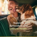 Nature's Bounty Vitamin C 1000 mg Immune Health Caplets 100 ea ( Pack of 6) 3