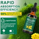 Mullein Drops for Lungs,Mullein Leaf Extract for Lungs,Natural Cleanse,Mullein Leaf Liquid Extract Supplement,Vegetarian Healthy Lifestyle,2 FL OZ 5