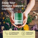 HERBAMAMA L-Carnitine and Goldenseal Kit - Bundle of 1500 mg Acetyl L-Carnitine Gummies & 700 mg Goldenseal Capsules - Vegan, Non-GMO, Gelatin-Free - 2 Pack 4