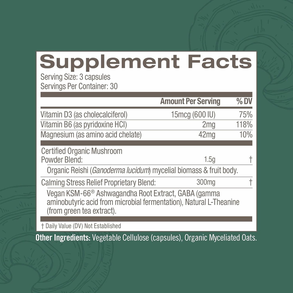 OM MUSHROOM SUPERFOOD Zen and Sleep Bundle Mushroom Capsules Superfood Supplement, 90 Count, 30 Days Supply of Each 5
