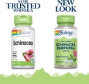 SOLARAY Echinacea Purpurea Root 440 mg | Healthy Immune & Respiratory Function Support | 100 VegCaps 3