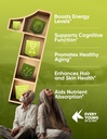 100% Natural Super Spermidine Supplements for Women and Men | 4X Ingredients to Supercharge Your Cellular Health and Hair Growth | Anti Aging Supplement Box 5