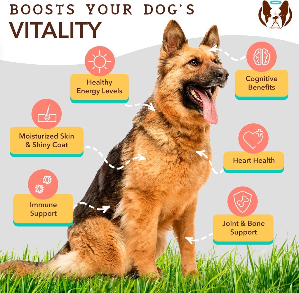 Natural Dog Company Skin & Coat Health Bundle with Omega-3, DHA, and Antioxidants for Dogs, Supports Healthy Skin, Shiny Coat, and Overall Wellness Ideal for Dry Skin Relief & Enhancing Dog Coat Shine 5