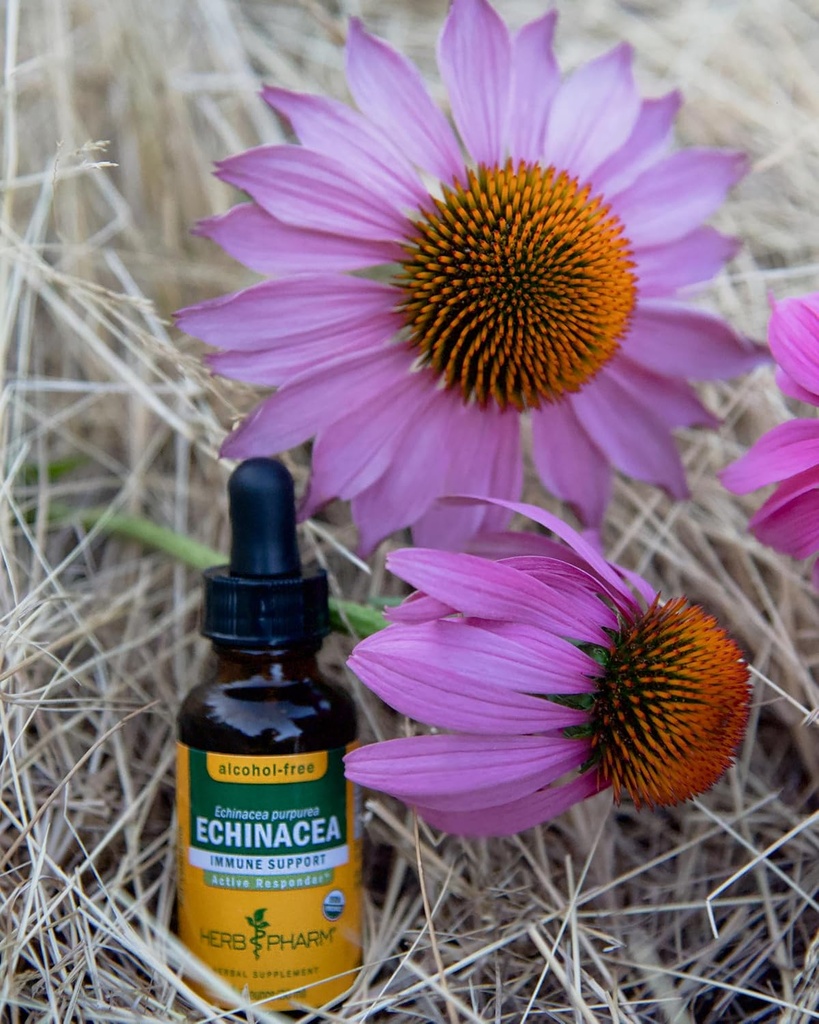 Herb Pharm Certified Organic Echinacea Root Liquid Extract for Immune System Support, Alcohol-Free Glycerite, 4 Ounce 6