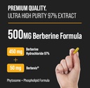 NutraChamps Complete Bone & Metabolic Support : Magnesium Zinc D3 & Berberine Duo 4
