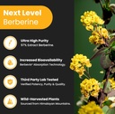 NutraChamps Complete Bone & Metabolic Support : Magnesium Zinc D3 & Berberine Duo 6